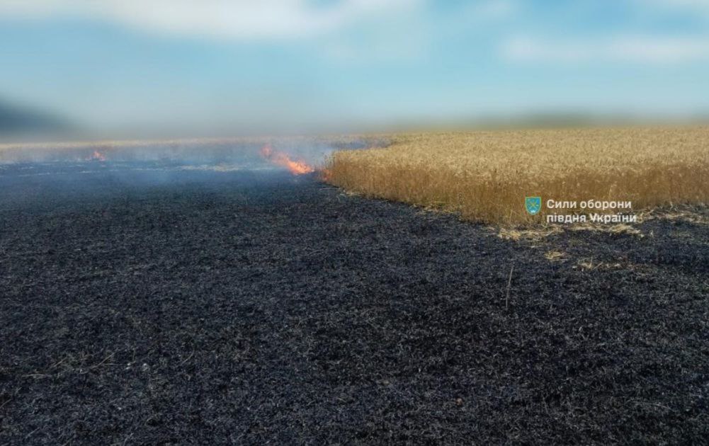 Ворог атакував Одещину ракетою з касетним зарядом: вигоріло пшеничне поле